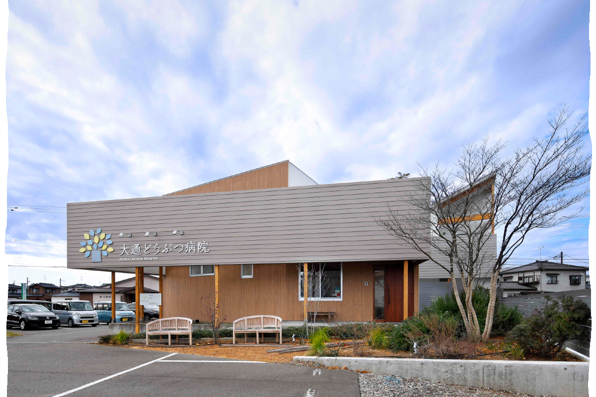 大通動物病院_イメージ