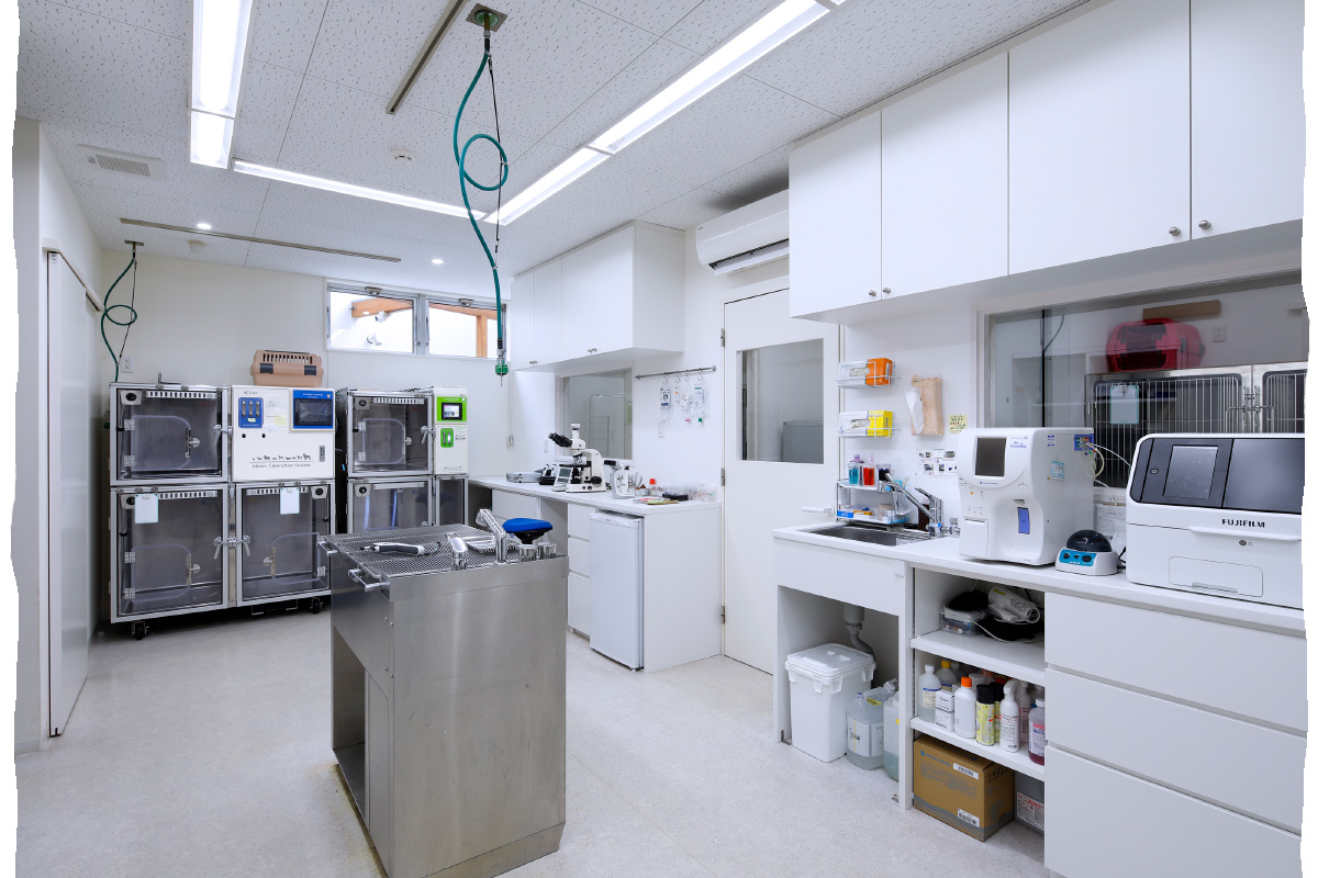 大通動物病院_イメージ