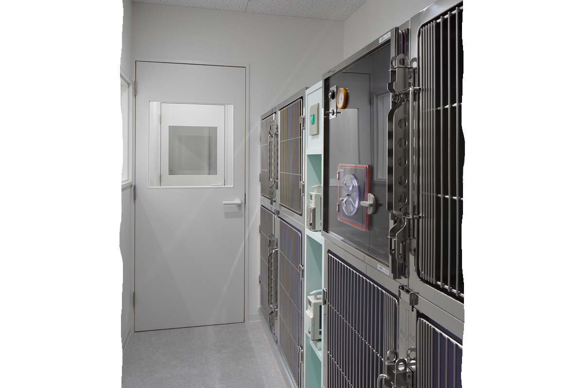 大通動物病院_イメージ