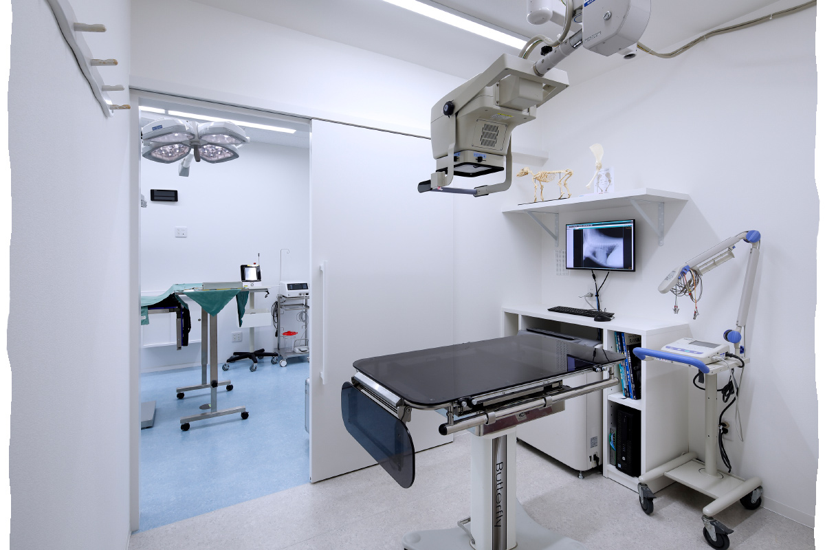 大通動物病院_イメージ